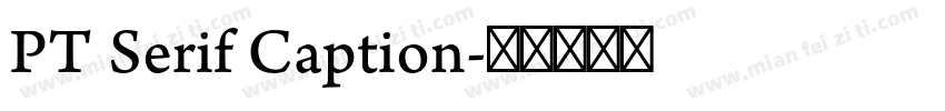 PT Serif Caption字体转换